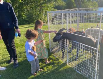 IMG-20220710-WA0029-1